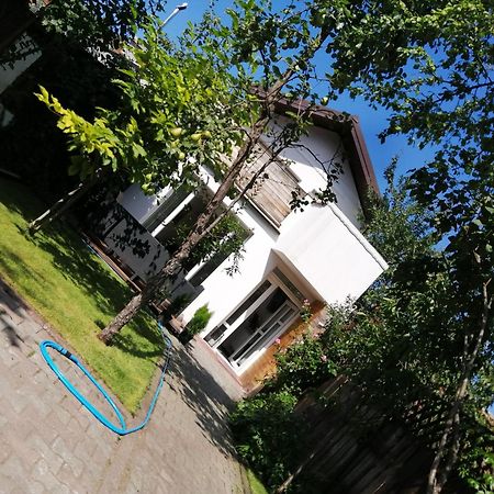 Casa Scheiana Panzió Brassó Kültér fotó