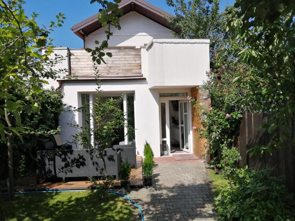 Casa Scheiana Panzió Brassó Kültér fotó