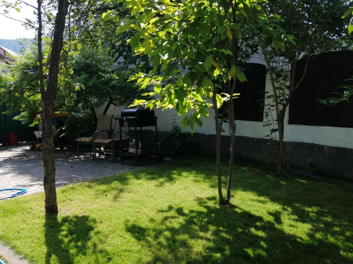 Casa Scheiana Panzió Brassó Kültér fotó