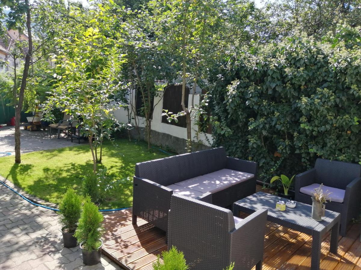 Casa Scheiana Panzió Brassó Kültér fotó