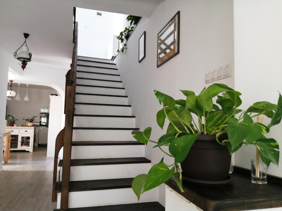 Casa Scheiana Panzió Brassó Kültér fotó