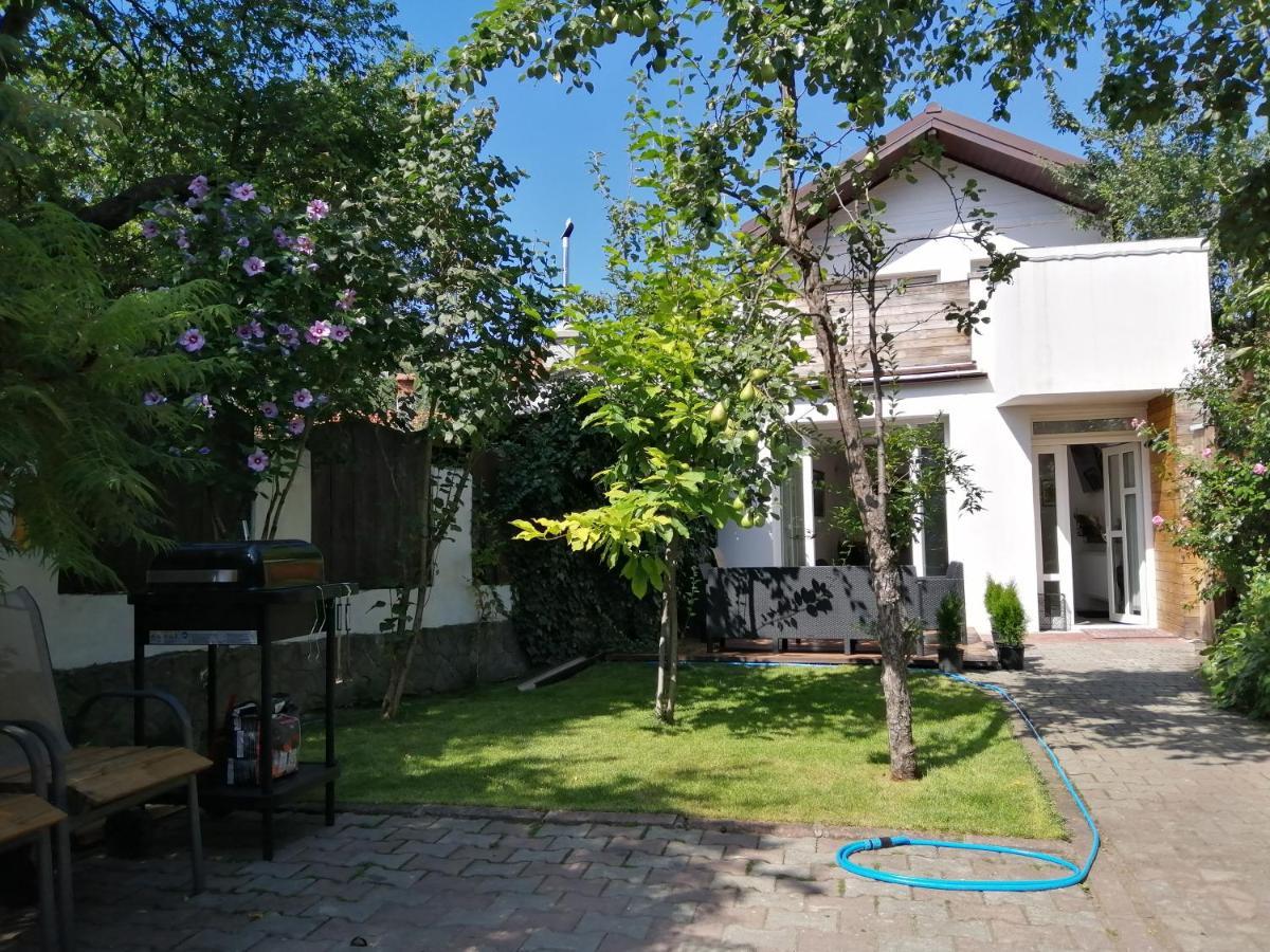 Casa Scheiana Panzió Brassó Kültér fotó