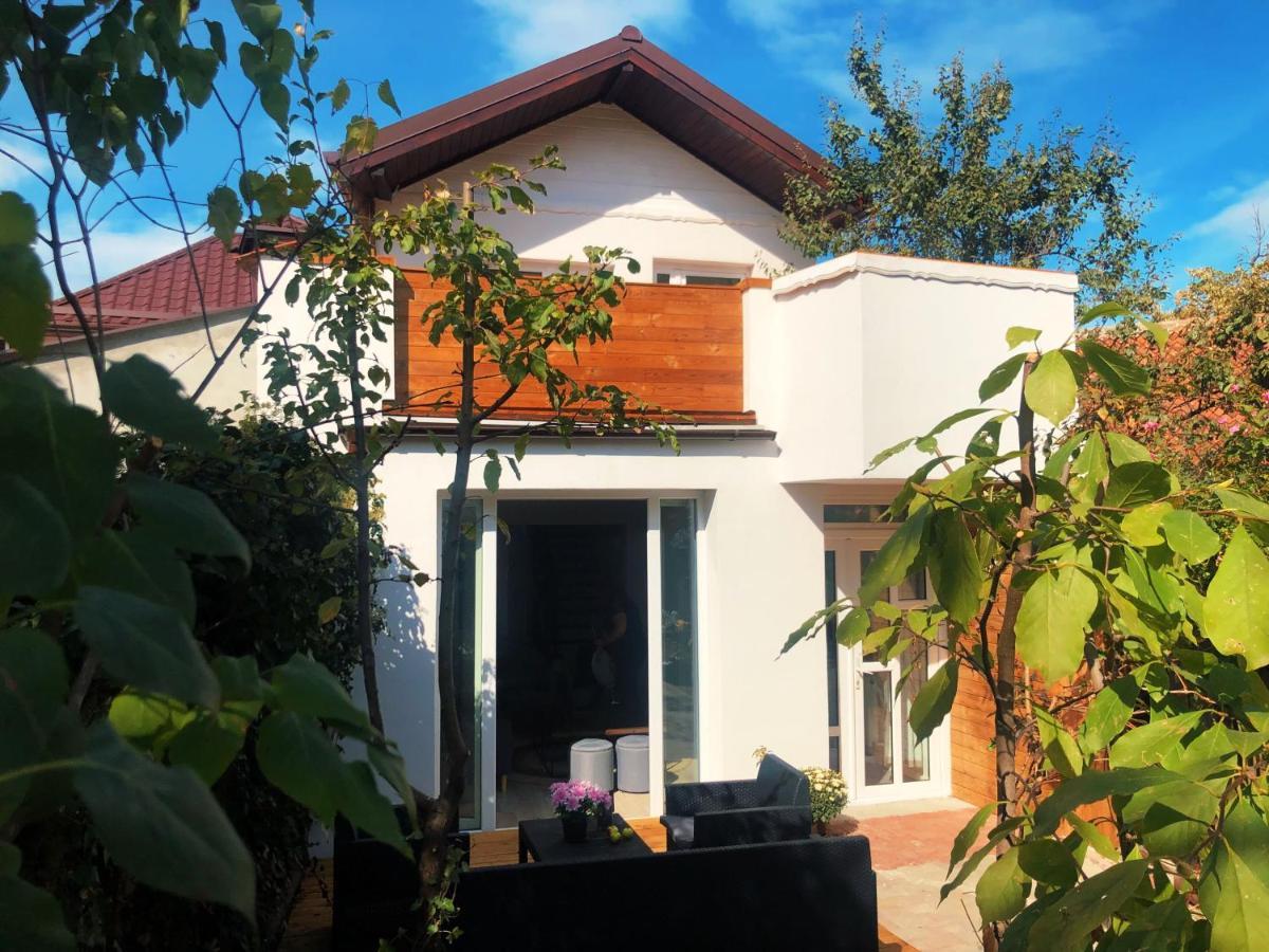Casa Scheiana Panzió Brassó Kültér fotó