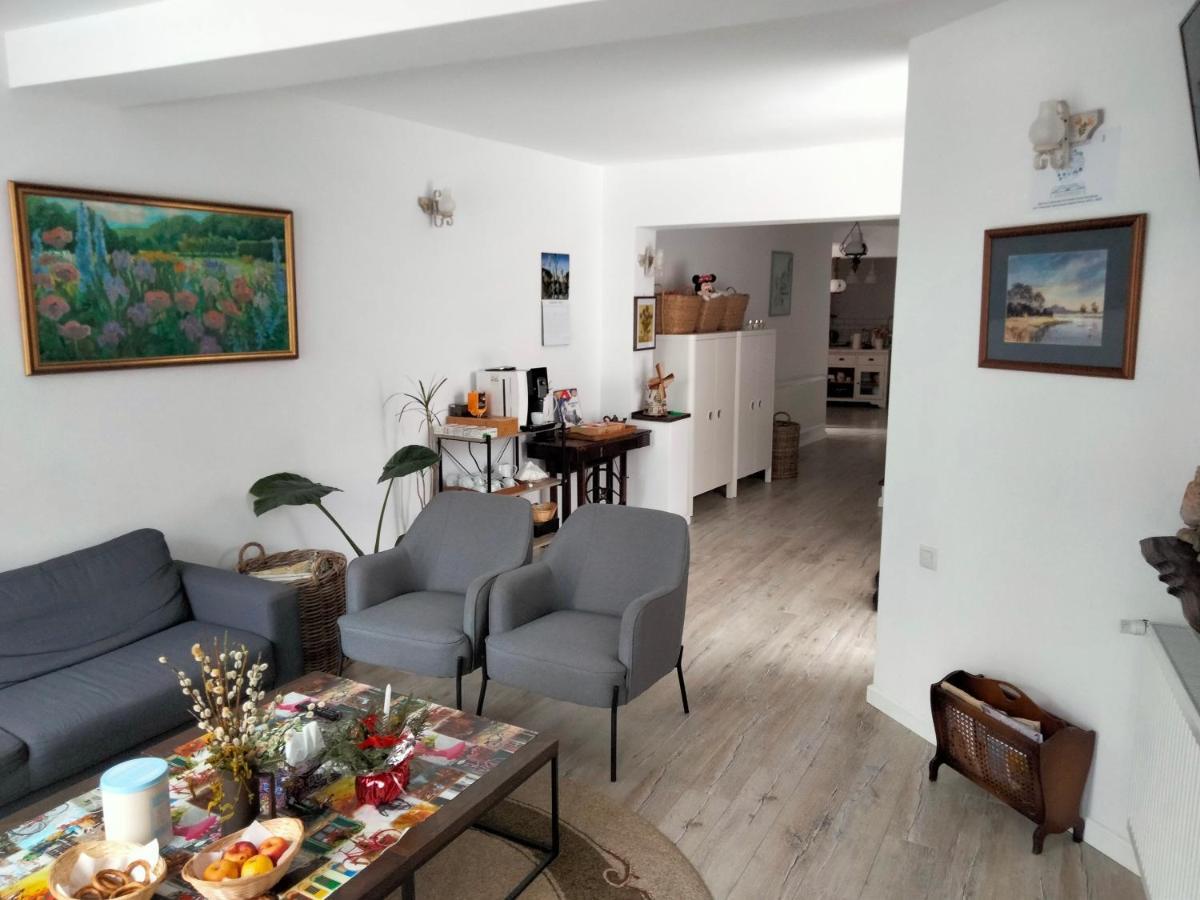 Casa Scheiana Panzió Brassó Kültér fotó