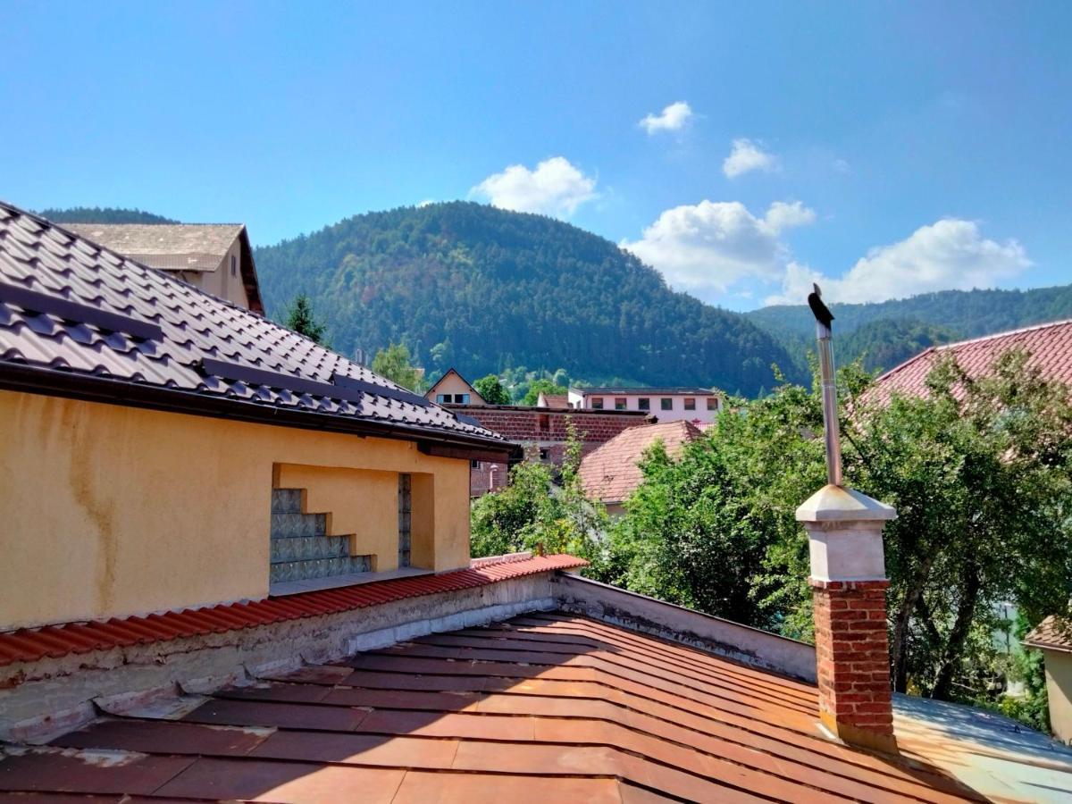 Casa Scheiana Panzió Brassó Kültér fotó