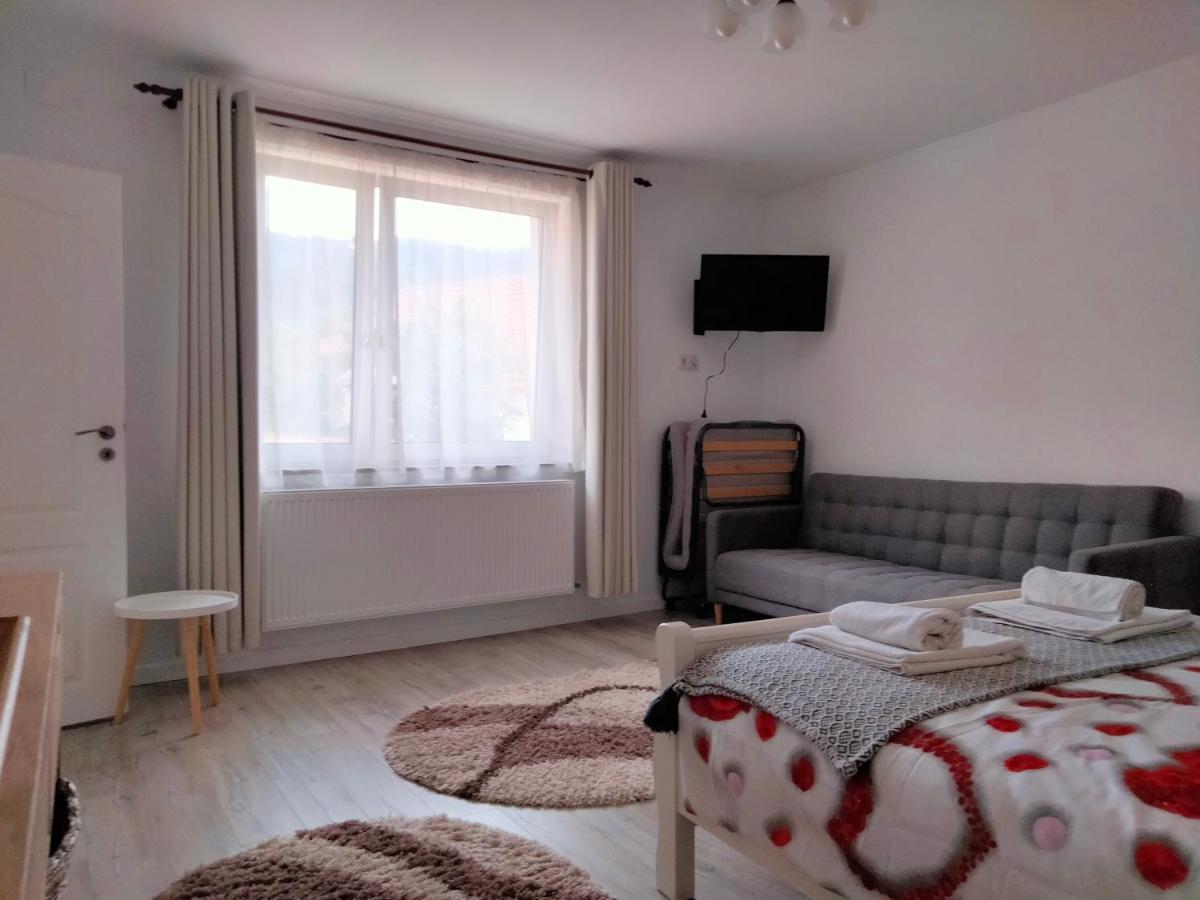 Casa Scheiana Panzió Brassó Kültér fotó