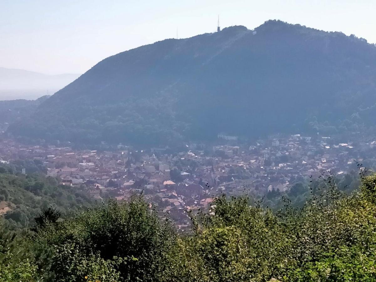 Casa Scheiana Panzió Brassó Kültér fotó