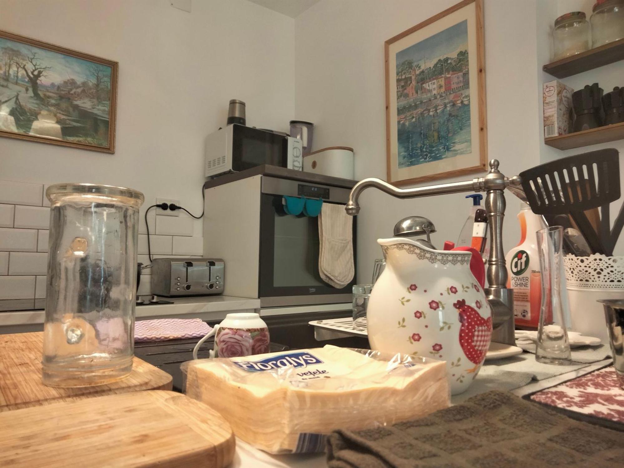 Casa Scheiana Panzió Brassó Kültér fotó