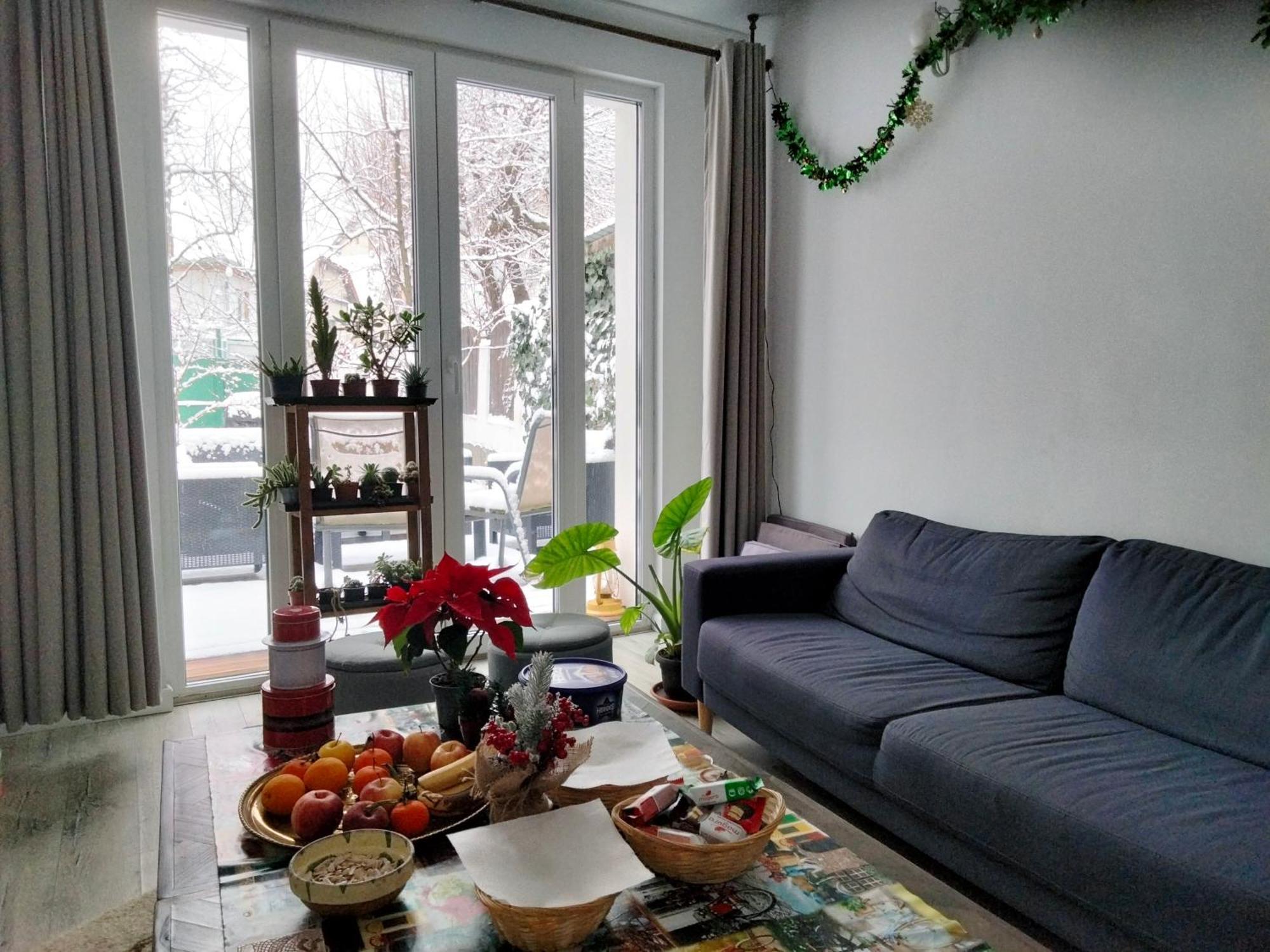 Casa Scheiana Panzió Brassó Kültér fotó