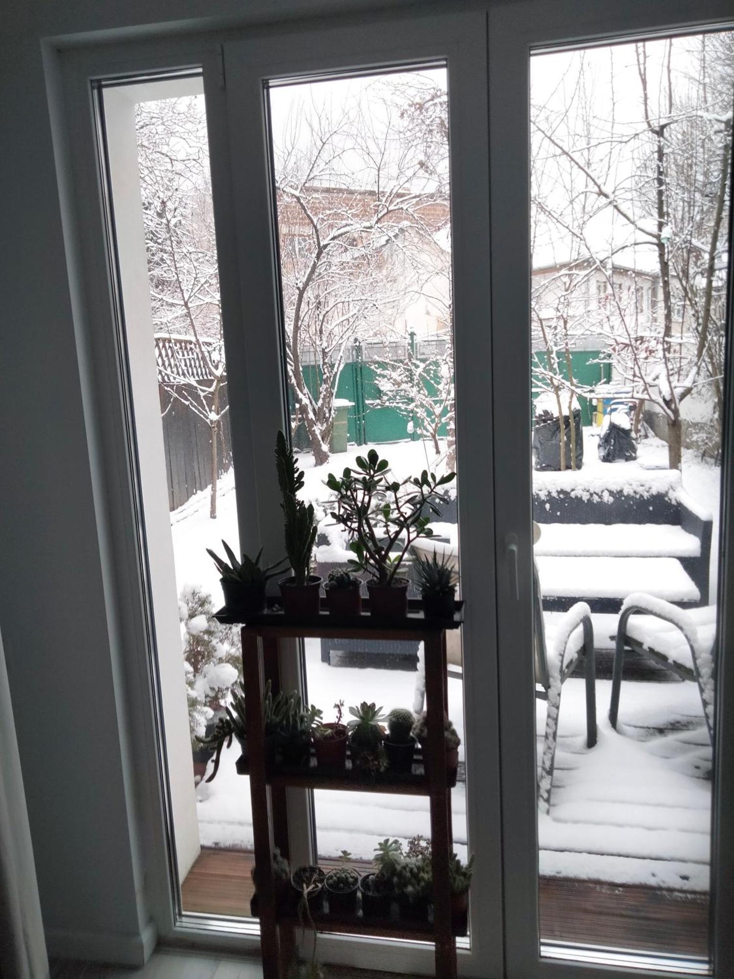 Casa Scheiana Panzió Brassó Kültér fotó